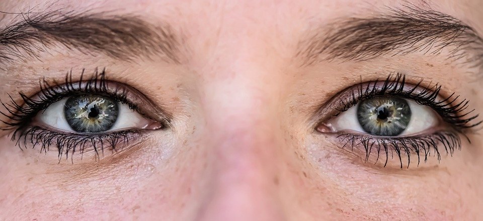 Iridology eye examination - detailed iris analysis for health assessment